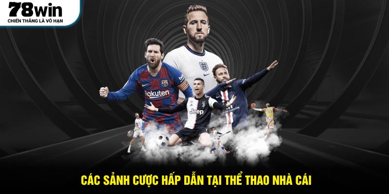 Các sảnh cược hấp dẫn tại thể thao nhà cái